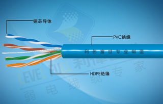 利偉富世推出全新優(yōu)質網(wǎng)線與音視頻線系列，開啟數(shù)字連接新篇章